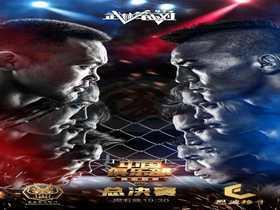 新格斗视频,精彩对决，热血沸腾！